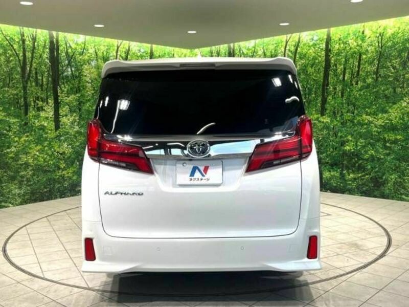 ALPHARD-19