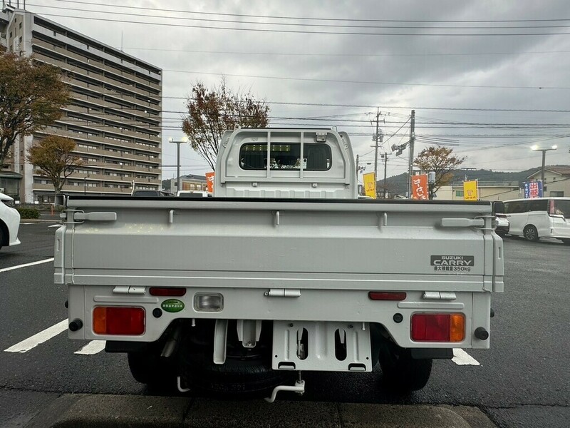 CARRY TRUCK-6