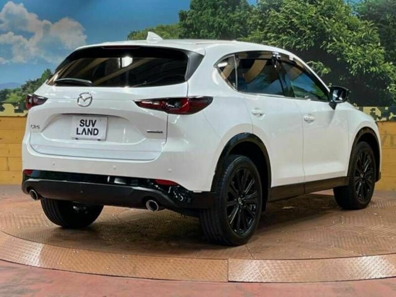 CX-5-19