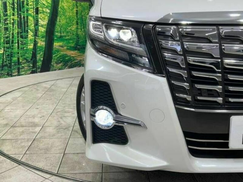 ALPHARD-12