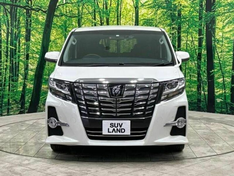 ALPHARD-14