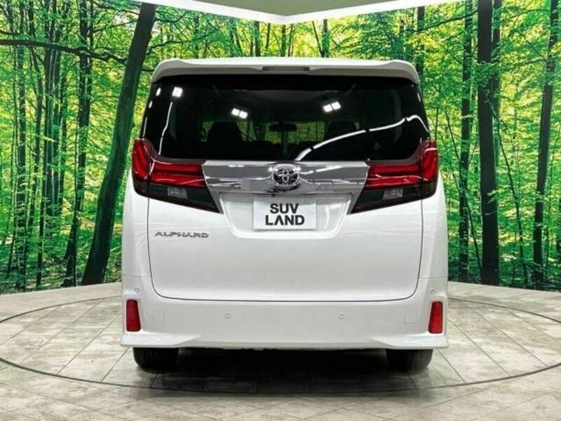 ALPHARD-15