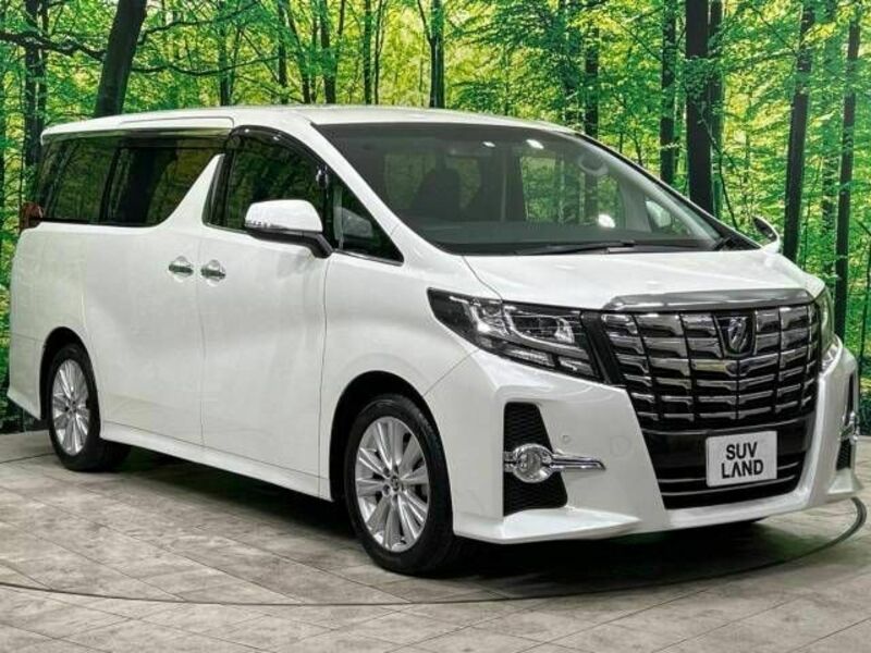 ALPHARD-16