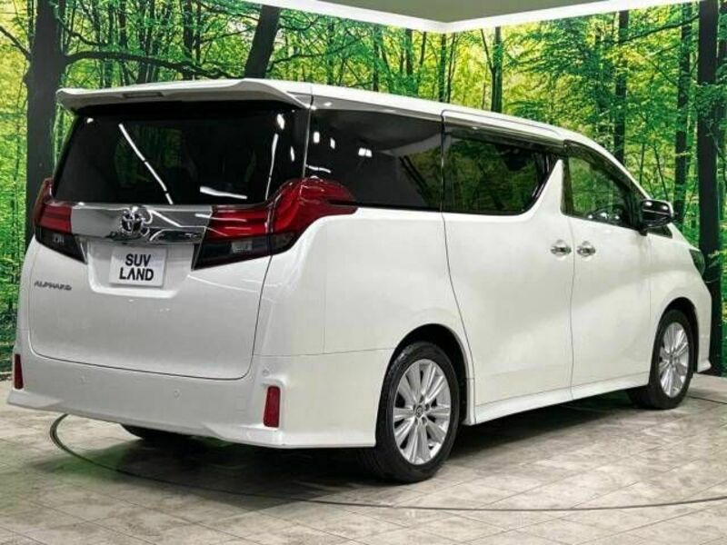 ALPHARD-17