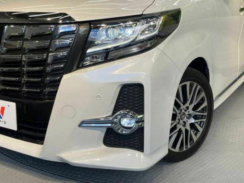 ALPHARD-12