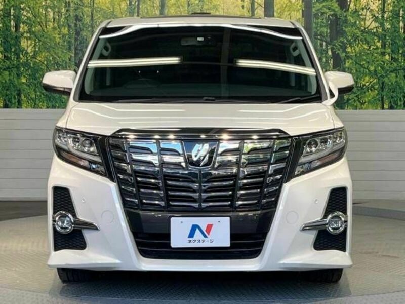 ALPHARD-14