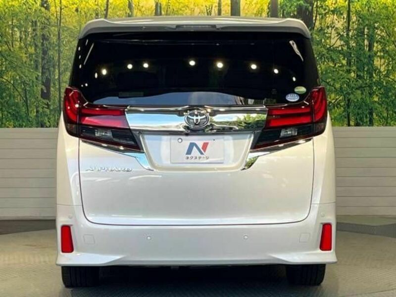 ALPHARD-15