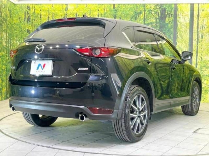 CX-5-17