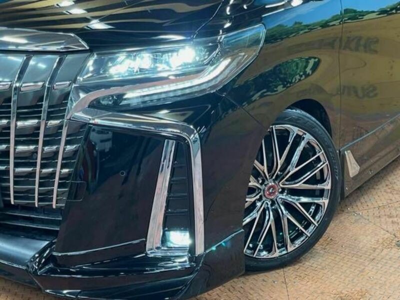 ALPHARD-12