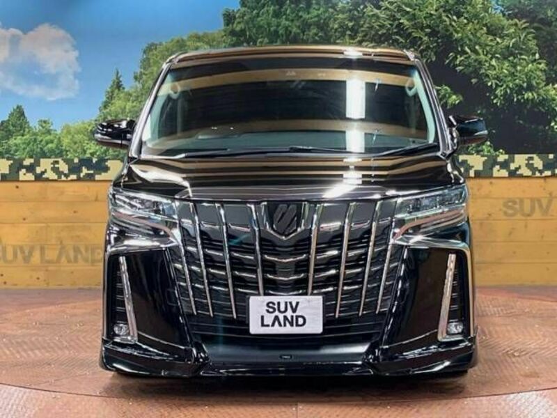 ALPHARD-14