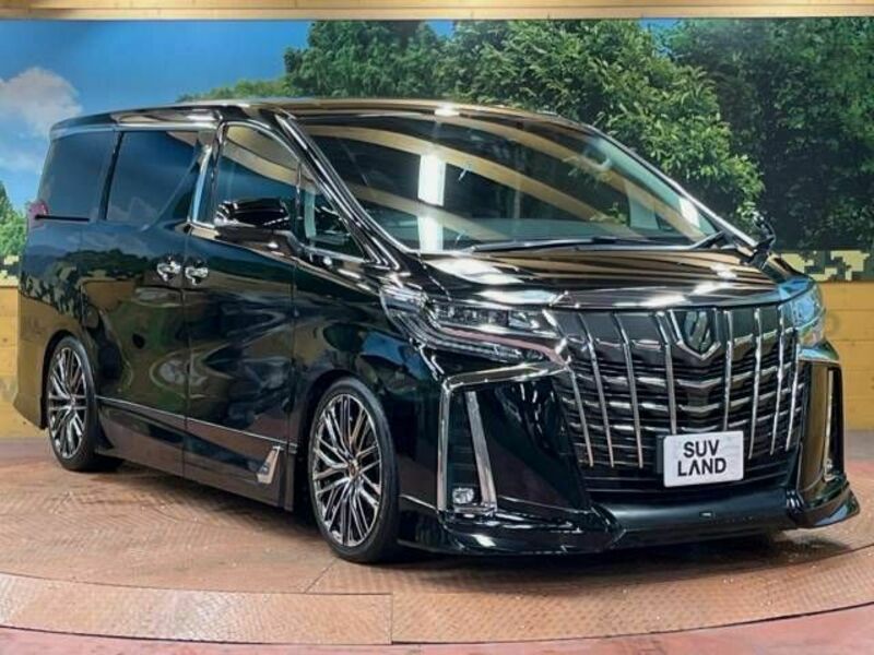 ALPHARD-16