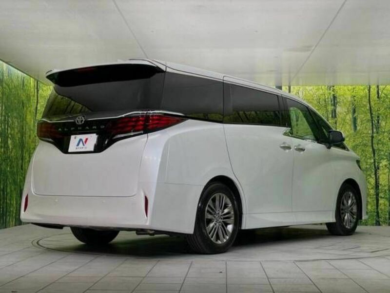 ALPHARD-19