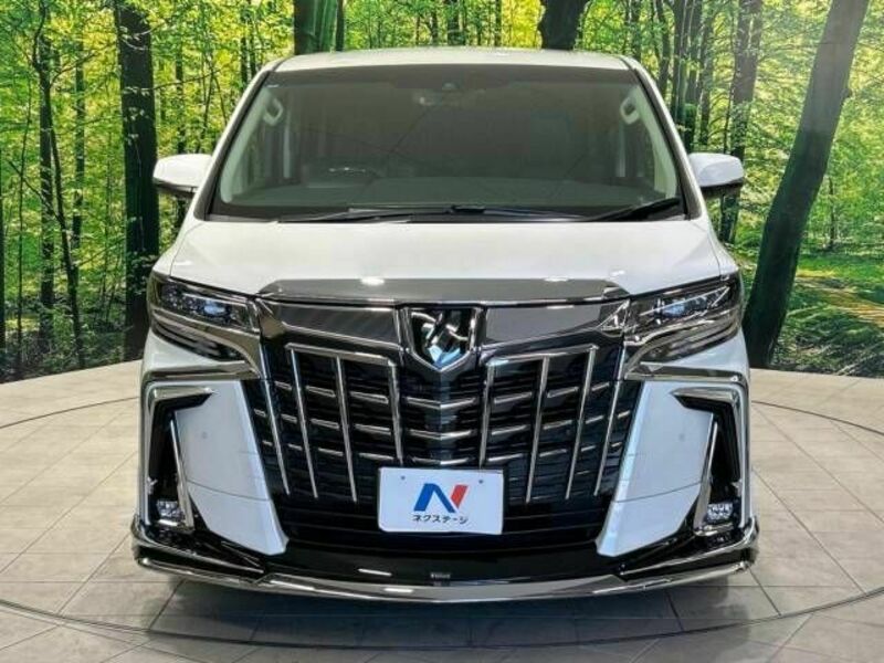 ALPHARD-15