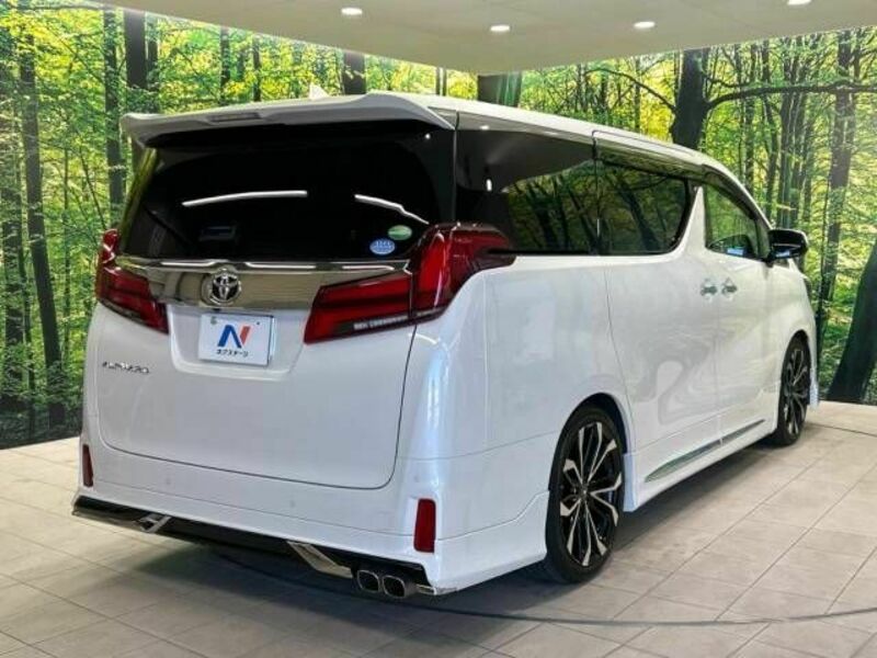 ALPHARD-18