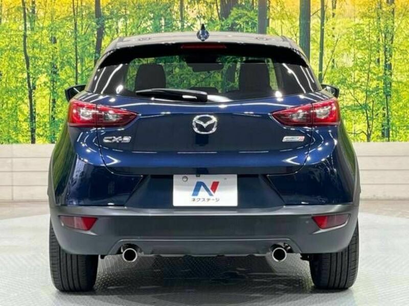 CX-3-15