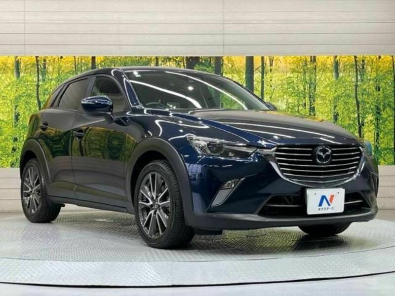 CX-3-16