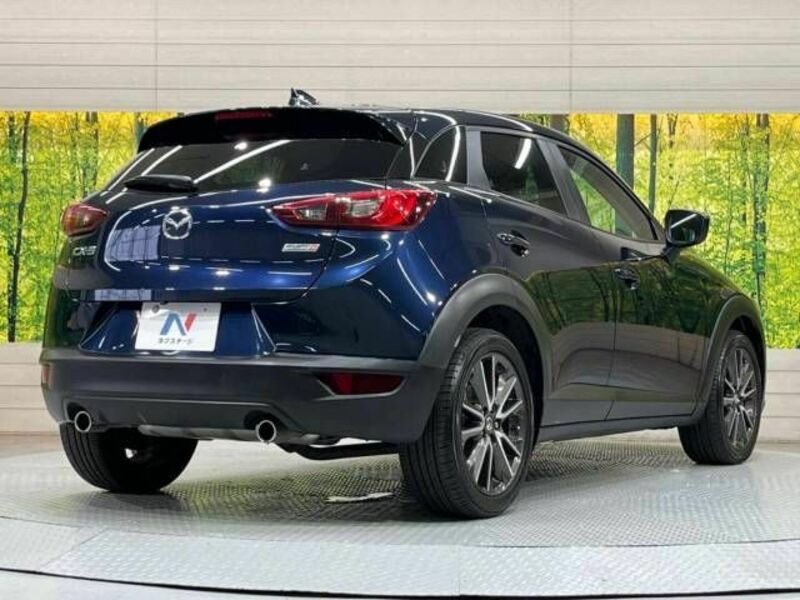 CX-3-17