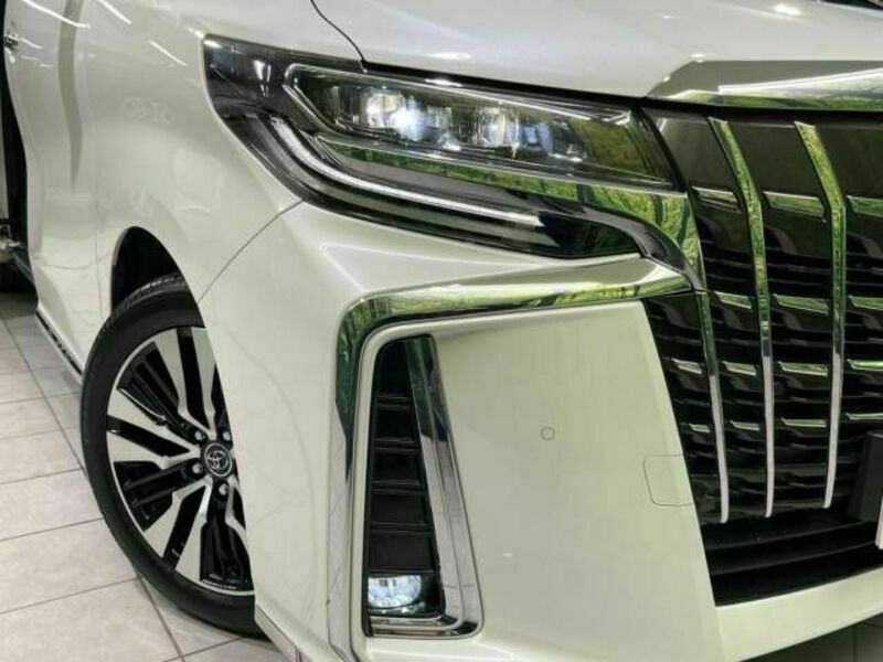 ALPHARD-13