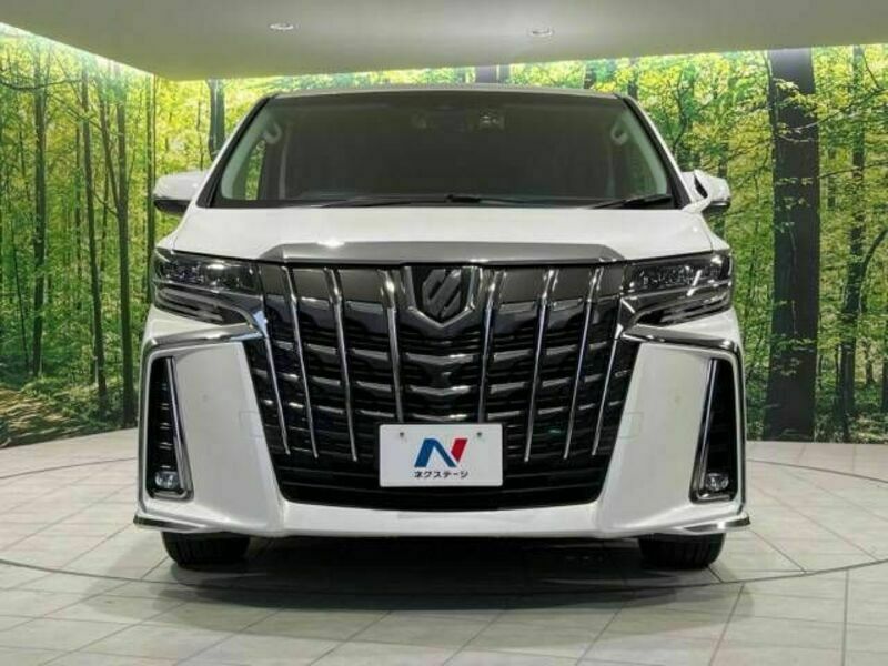 ALPHARD-15