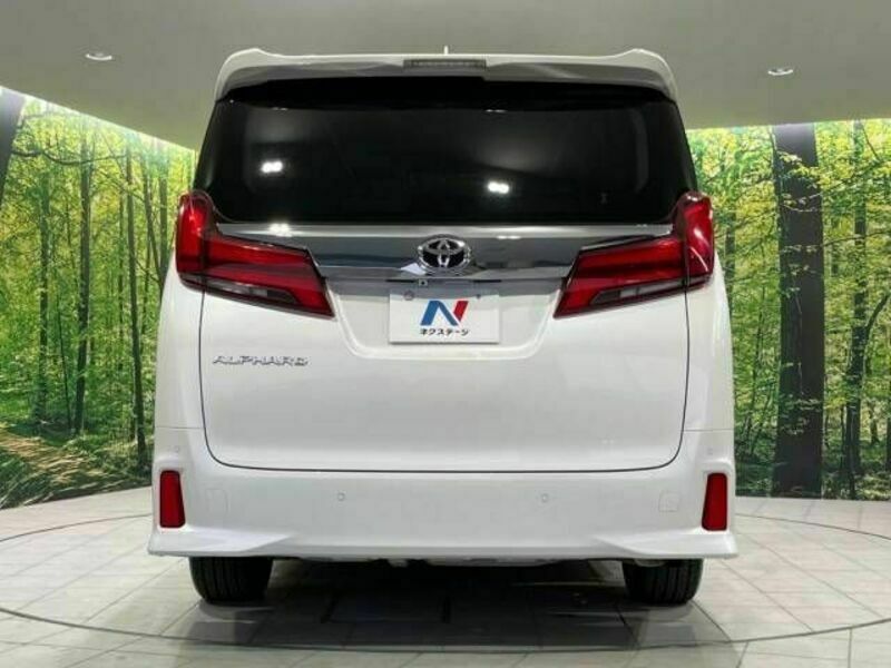 ALPHARD-16