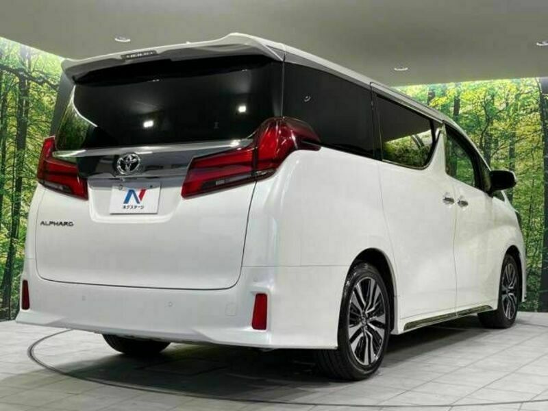 ALPHARD-18