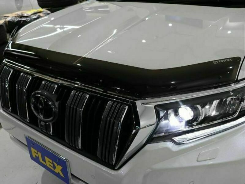 LAND CRUISER PRADO-10