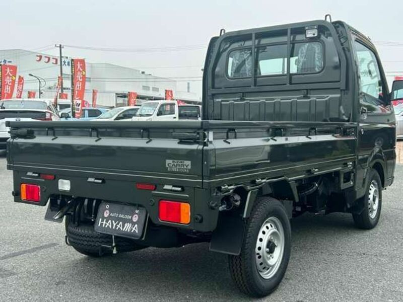 CARRY TRUCK-6