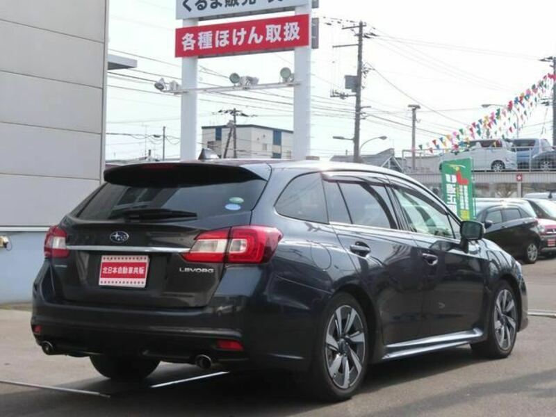 LEVORG-1