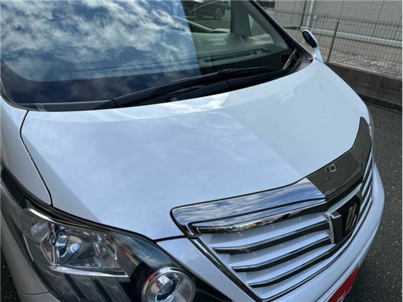 ALPHARD-14