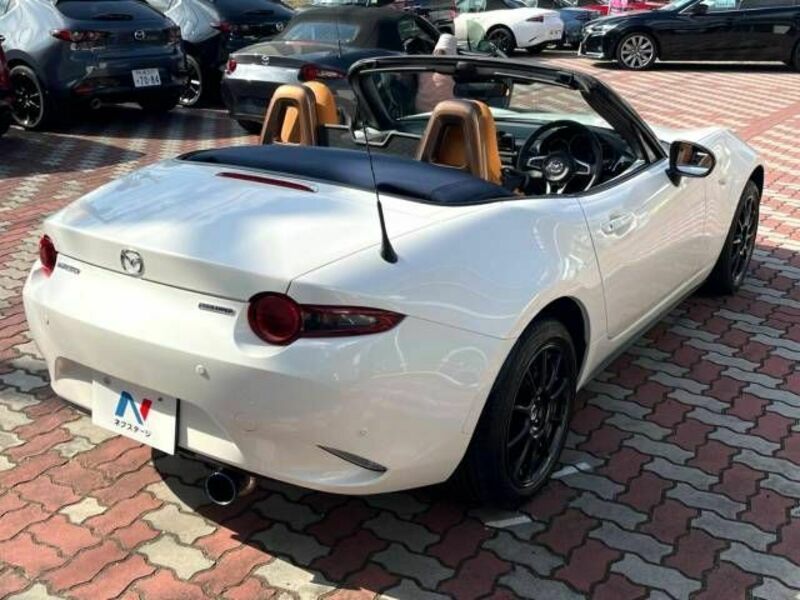 ROADSTER-16