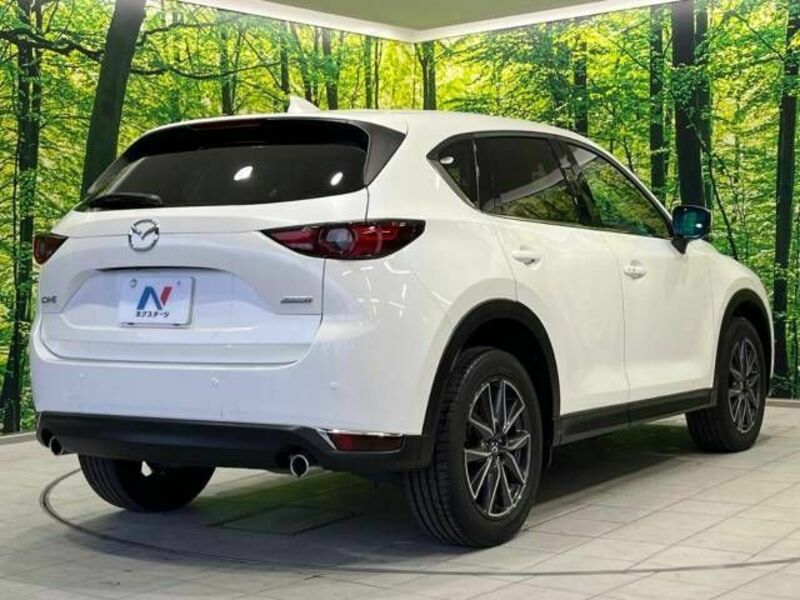 CX-5-17