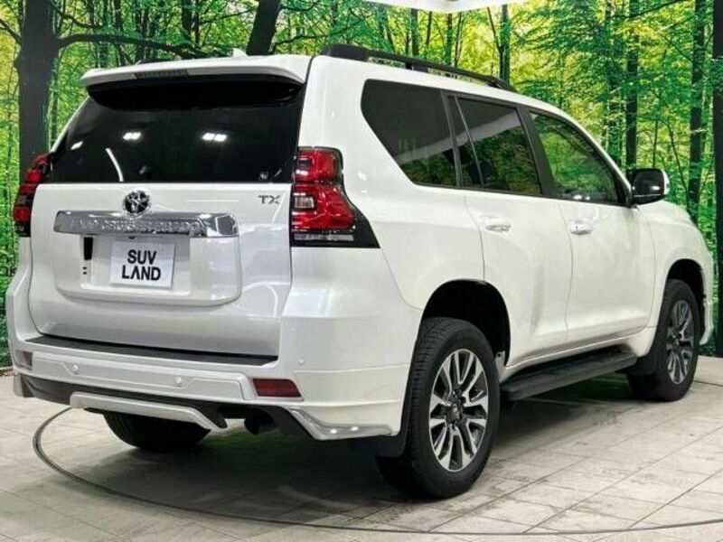 LAND CRUISER PRADO-17