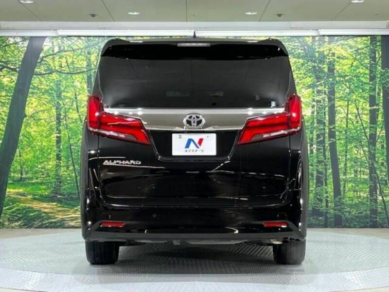 ALPHARD-16