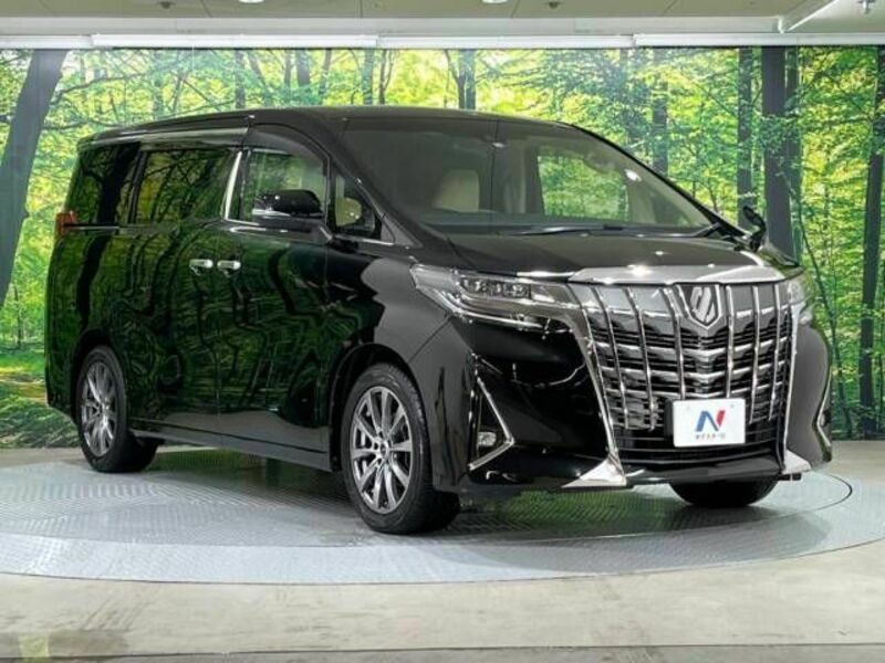 ALPHARD-17