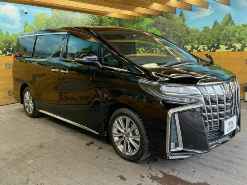 ALPHARD-17