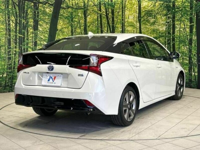 PRIUS-19