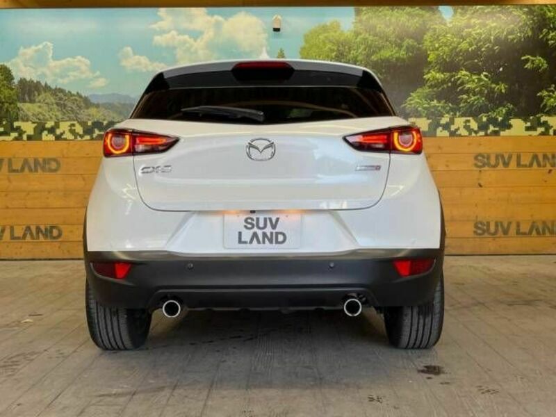 CX-3-16