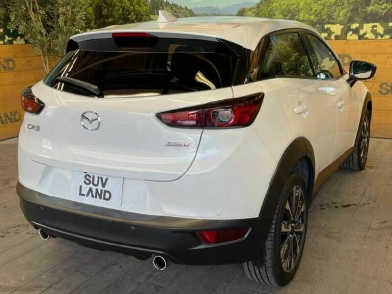 CX-3-18