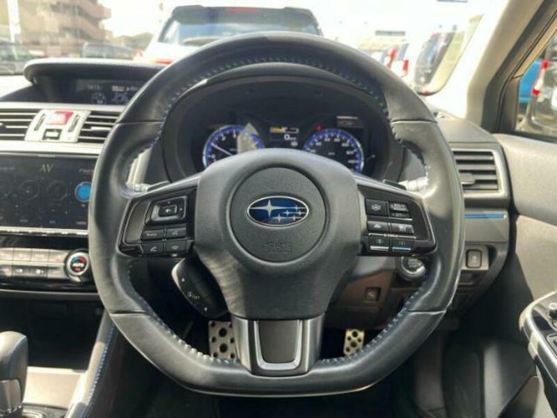 LEVORG-13