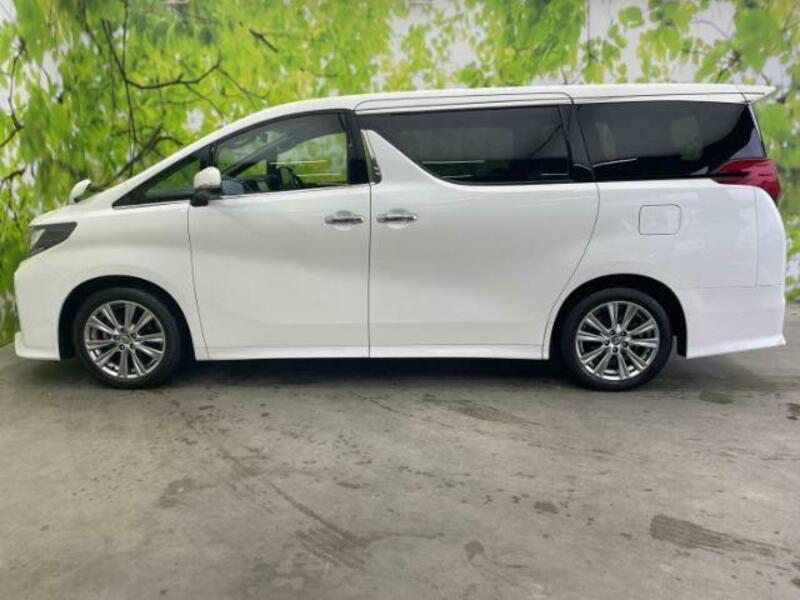 ALPHARD-1