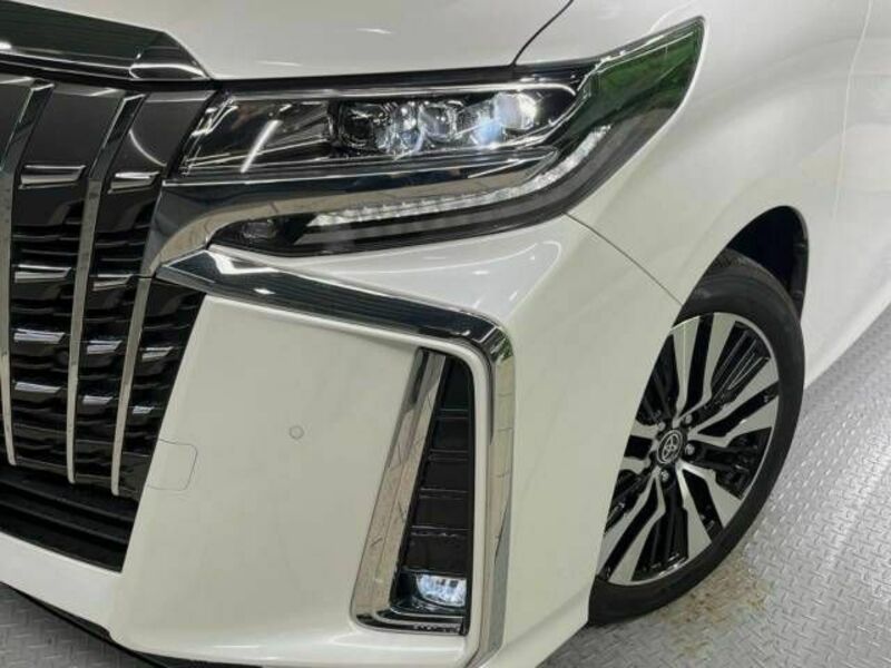 ALPHARD-13