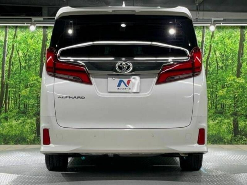 ALPHARD-16