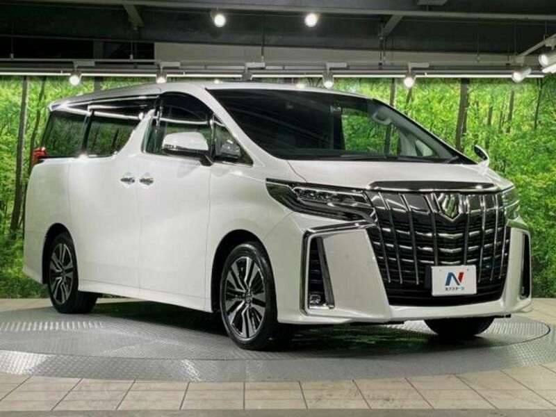 ALPHARD-17