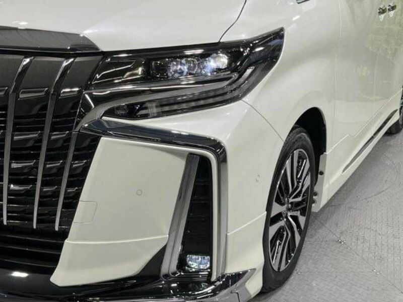 ALPHARD-13