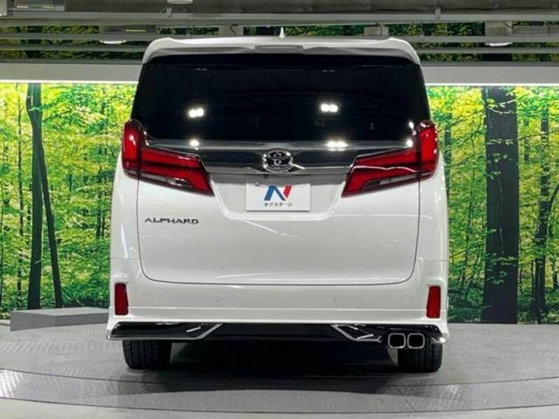 ALPHARD-16