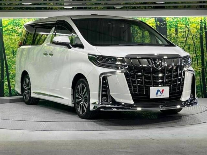 ALPHARD-17