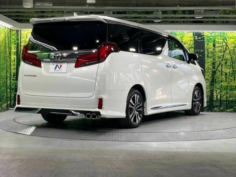 ALPHARD-18