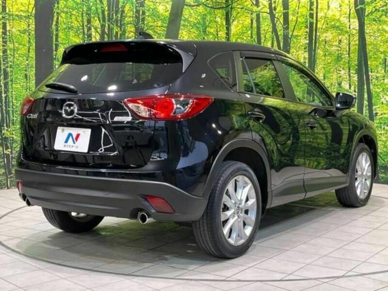 CX-5-17