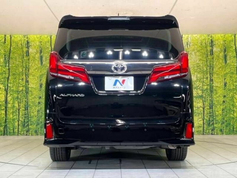 ALPHARD-16