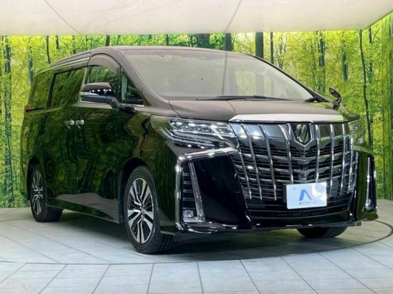 ALPHARD-17